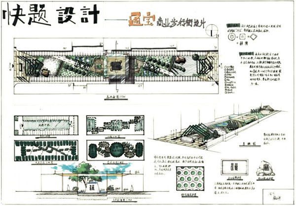 大禹手绘暑假集训