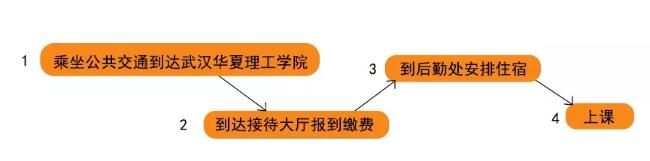 报道流程 报道流程